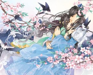 嫩芽永不翻车在线观看免费